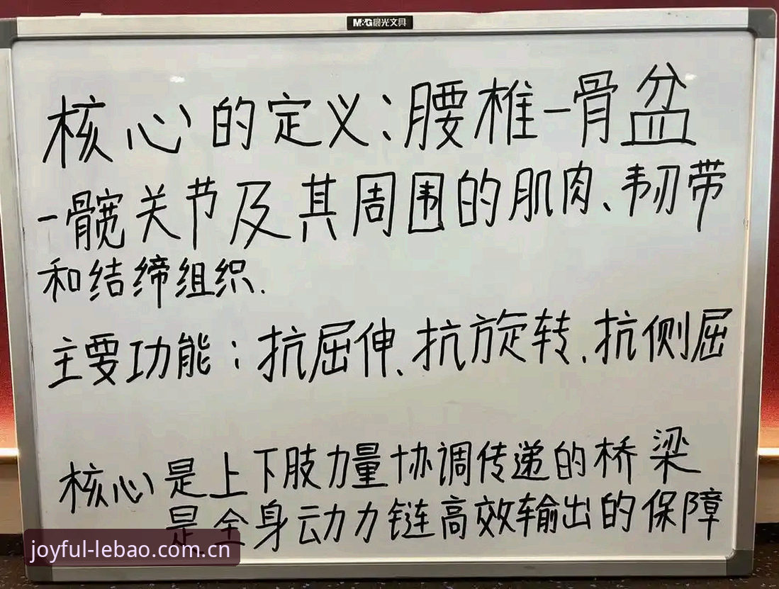 乐宝体育体坛信息评测 体育迷必备:乐宝体育平台使用心得与实战经验分享